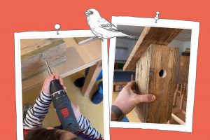 Home Sweet Home – Ein Vogelhaus für die Kita Frankenstraße