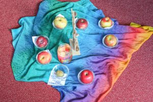 Apfelvielfalt entdecken – durch schauen, riechen und schmecken